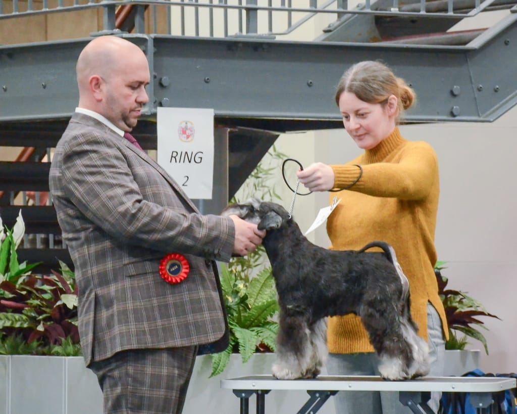 David Alcorn Judge and Nujax Storm A Brewin at dog show.